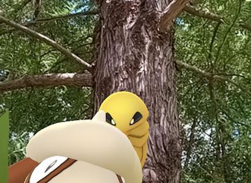 uruguay/colonia-del-sacramento/real-de-san-carlos/shop/almacen-toro