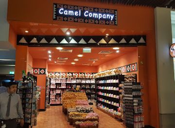 united-arab-emirates/dubai/shop/camel-company