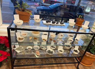 rhode-island/warwick/shop/the-veiled-crow