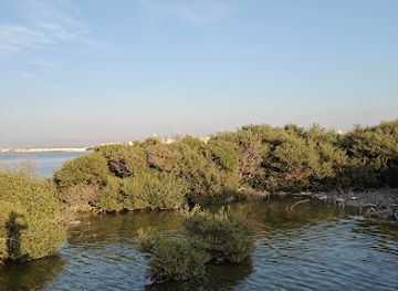 bahrain/sitra/shop/sitra