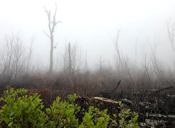 virginia/george-washington-and-jefferson-national-forests/shop/george-washington-national-forest