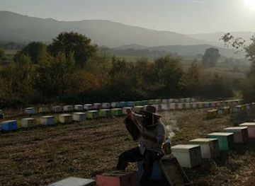 greece/central-greece/shop/oreino-pure-greek-honey