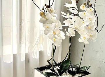 romania/timis/shop/natural-home-boutique