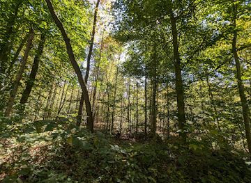 kentucky/carter-caves-state-resort-park/shop/tygarts-state-forest