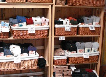 vermont/bennington-county/shop/shaftsbury-alpacas-home-of-the-alpaca-shack