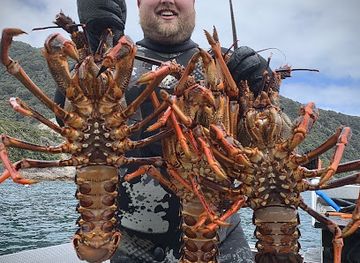 new-zealand/southland/shop/wettie-southland