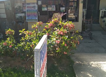 philippines/bohol/shop/buyan-store