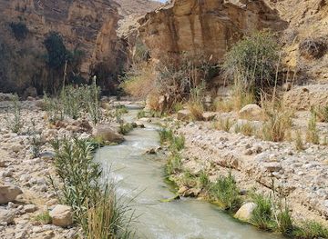 jordan/al-karak-plateau/shop/wadi-bin-hammad