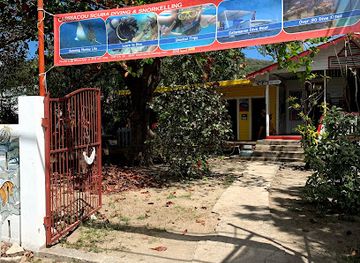 grenada/hillsborough/shop/deefer-diving-carriacou