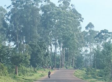 tanzania/ruaha-national-park/shop/ruhanga-center