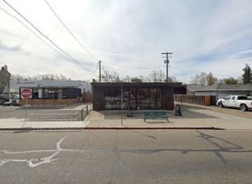 california/lodi/shop/boxwood-finch