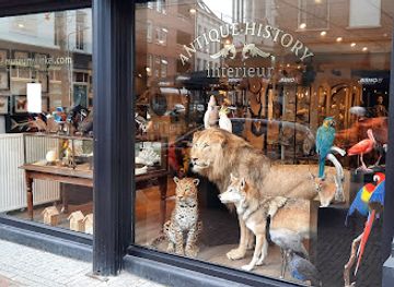 netherlands/nijmegen/shop/the-museumwinkel-com