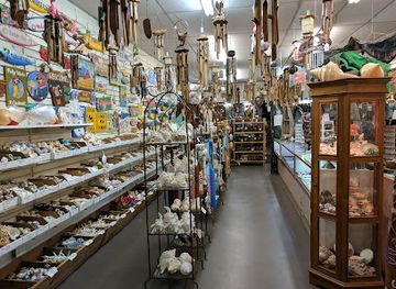 florida/st-augustine-beach/shop/shell-shop-sunburst-trading-co
