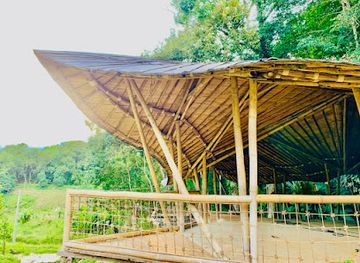 thailand/doi-inthanon/shop/dae-lor-pu