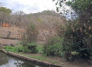 mozambique/manica-province/shop/manica