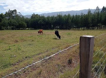 kenya/aberdare-range/shop/kahuruko-shopping-centre