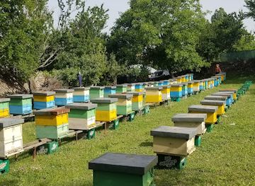 albania/kolonja/shop/bletari-starje