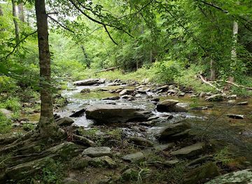 alabama/talladega-national-forest/shop/talladega-national-forest