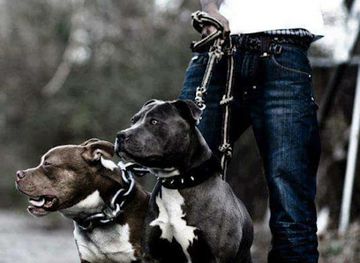 cabo-verde/brava/shop/dos-santos