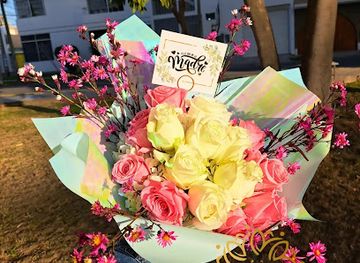 peru/ica/shop/magic-detalles-ica