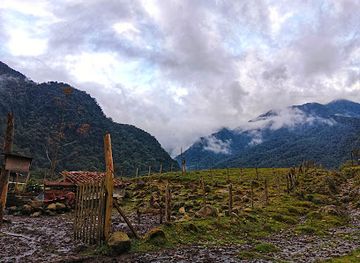colombia/los-nevados-national-natural-park/shop/finca-ceilan