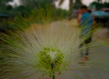 bangladesh/madhupur-tract/shop/edit-shop