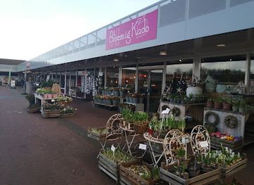 netherlands/drenthe-province/shop/winkelcentrum-d-anloop