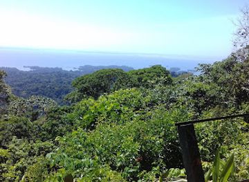 suriname/interior-rainforest/shop/brownsberg
