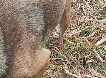 mauritius/blue-bay/shop/ti-louis-hardware-store