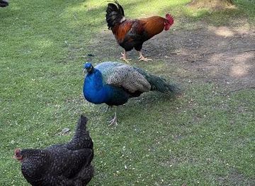 united-kingdom/aberfeldy/shop/errichel-farm-tours-scottish-cheese-charcuterie-tastings