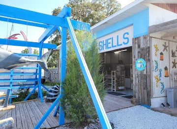 florida/nature-coast/shop/world-shells-gift-maket