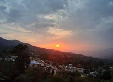 colombia/tolima-department/shop/barrio-el-oasis