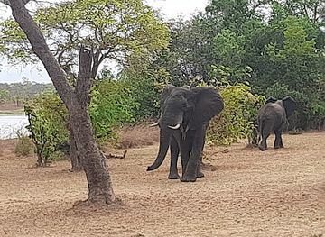 malawi/kasungu-plain/shop/kasungu-national-park
