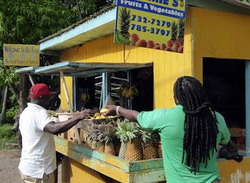 antigua-and-barbuda/fig-tree-drive/shop/clemie-s-fruits-and-vegetables