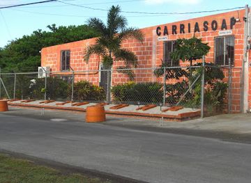 grenada/carriacou-and-petite-martinique/shop/carriasoap