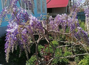 moldova/ungheni-county/shop/moldova