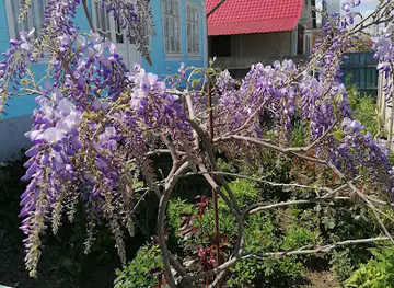 Moldova