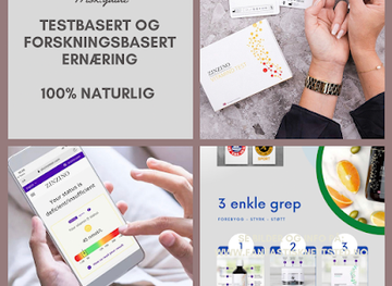 norway/lysefjord/shop/frisk-guide-as