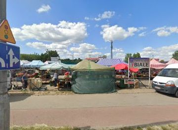 poland/bydgoszcz/fordon/shop/sery-slesinskie