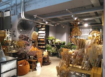 belgium/belgian-coast/shop/casa-oostende-ab