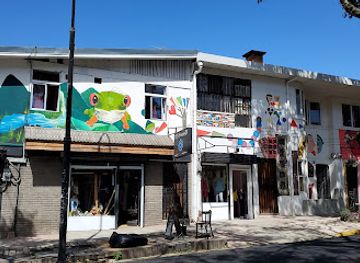 costa-rica/san-jose/barrio-otoya/shop/la-salamandra