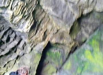 united-kingdom/shetland/shop/the-puffin-republic