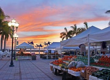 florida/ft-pierce/shop/the-downtown-farmers-market-of-fort-pierce-inc