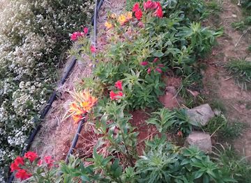 philippines/mt-pulag/shop/mt-pulag-tent-and-dry-goods