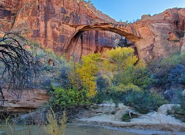 utah/grand-staircase-escalante-national-monument/shop/escalante-natural-bridge