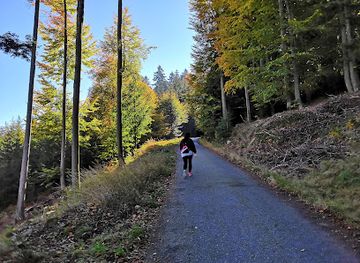 czechia/sumava/shop/bila-strz