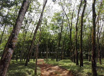 sri-lanka/kalutara-district/shop/wimala-stores