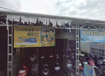 indonesia/south-kalimantan/shop/borneo-store