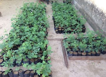 sri-lanka/trincomalee/shop/thenasri-store