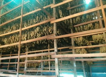 costa-rica/playa-flamingo/shop/chicho-s-cigars